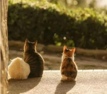 沐浴阳光优美的句子文案