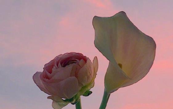 发朋友圈早安语分享