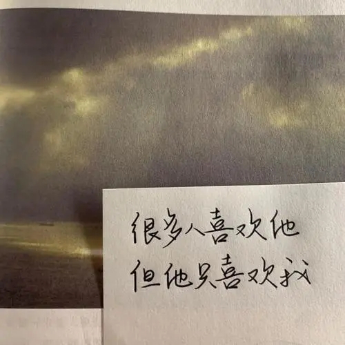 说理的句子文案经典语句