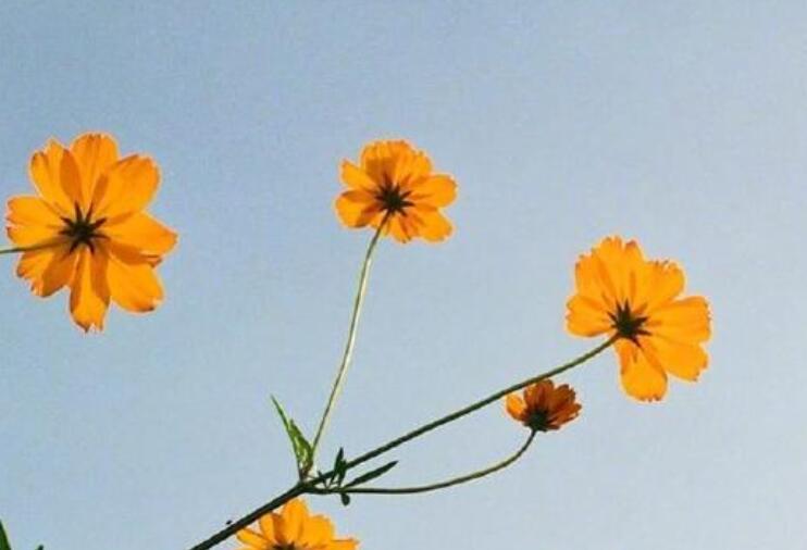 关于青春珍惜时间的句子文案