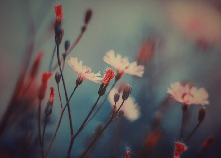 心情不好的短句子文案八字