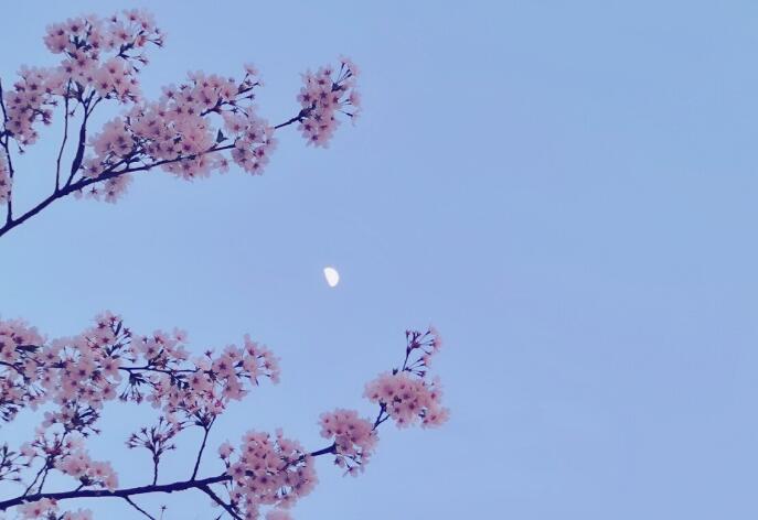 八个字悲伤的话