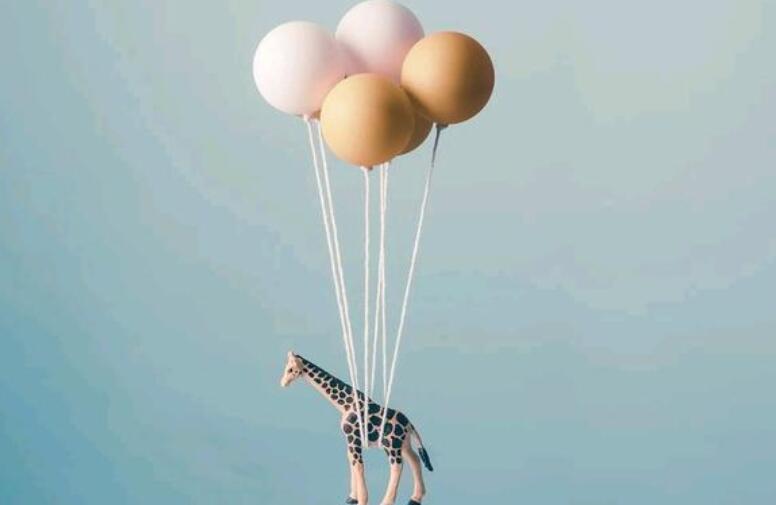 女人早安励志正能量句子文案