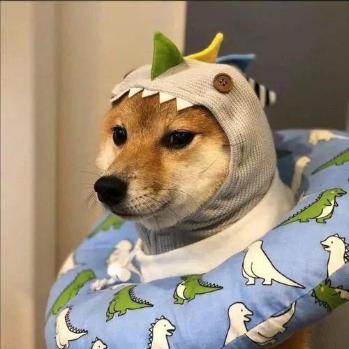 憨憨可爱的文案短