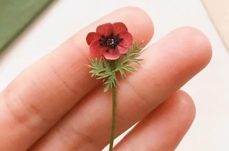 对于人生感悟的句子文案