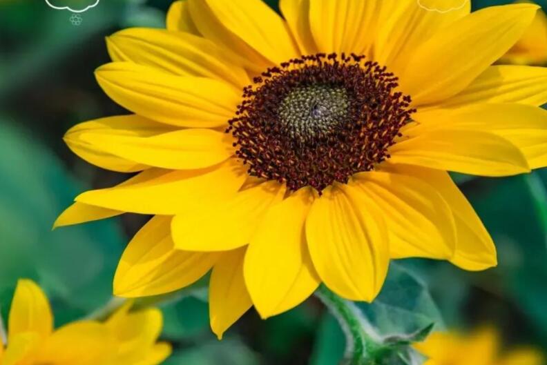 周六语录正能量句子文案