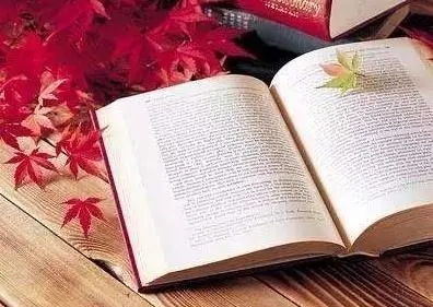 读书笔记摘抄20字