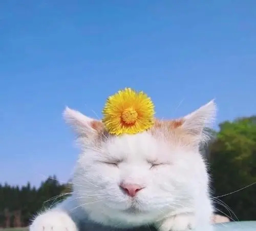 旅行简短文艺句子文案大全