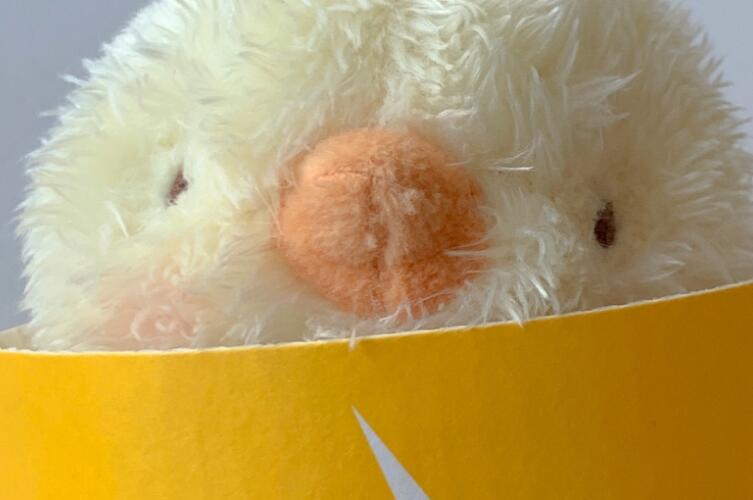 形容自己憨憨的句子文案