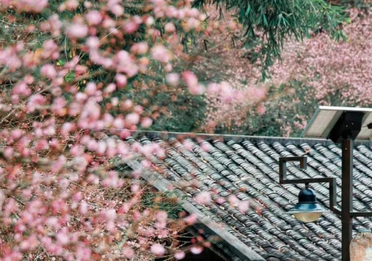 初中读书笔记大全摘抄