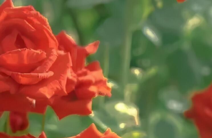 结束一段旅程的句子文案