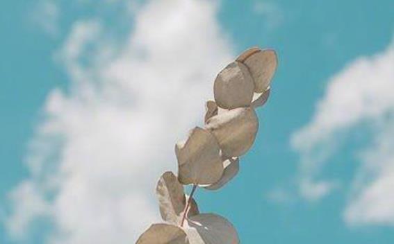 给最好朋友最美的清晨问候