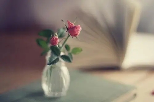 鼓励自己的唯美句子文案10字以内