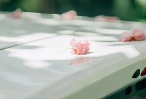 生活很美好的说说文案简短