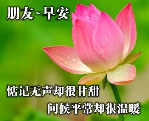 早安最好的祝福语图片大全