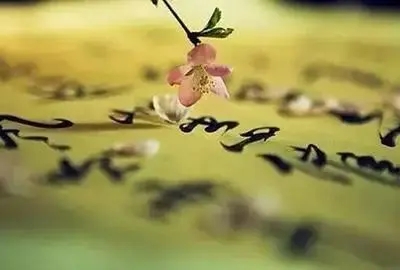 表达有缘的句子文案