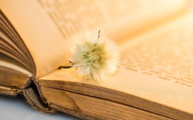 撕心裂肺的经典语录文案