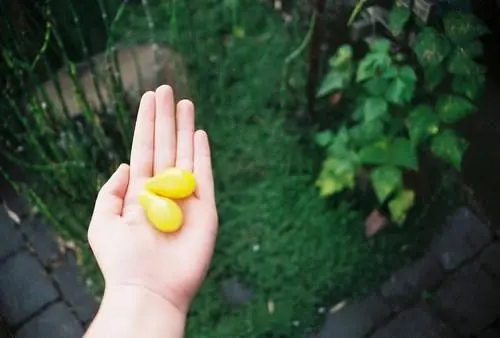 2024最时尚朋友早安祝福语