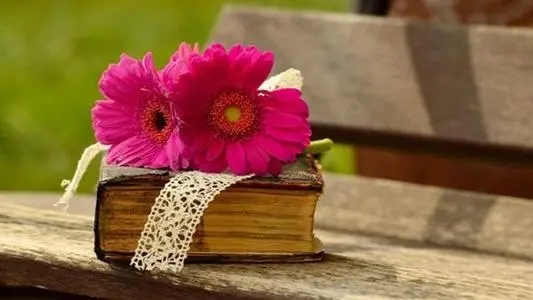 2024最暖心句子文案