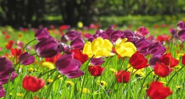 24句描写颜色的句子文案