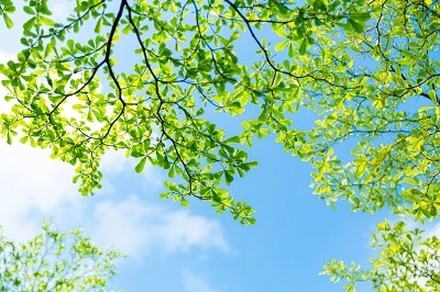 春天和夏天交接的诗句文案