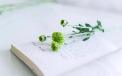 适合发说说文案的图片唯美