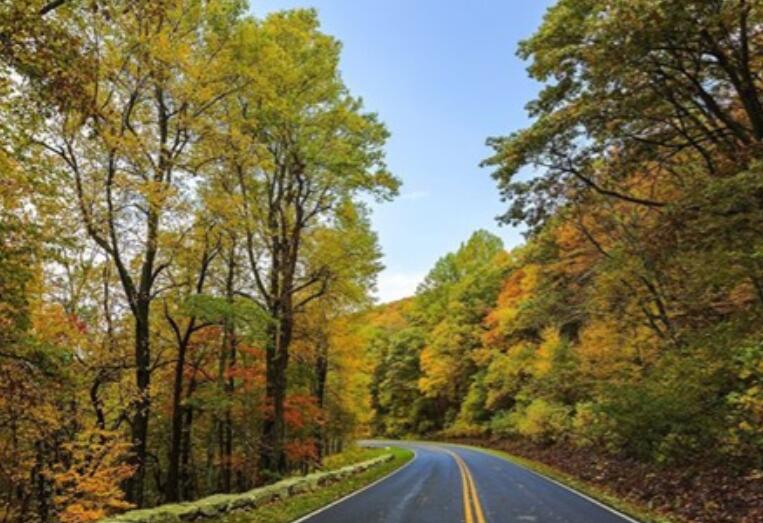 鄙视小人的内涵句子文案