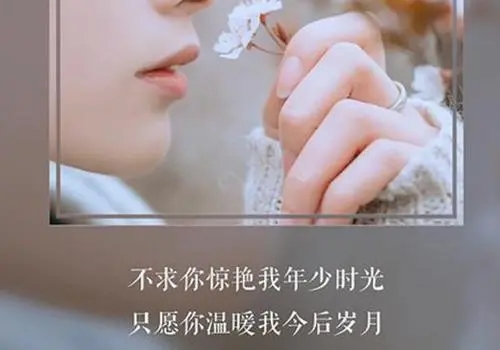 温柔了时光的句子文案