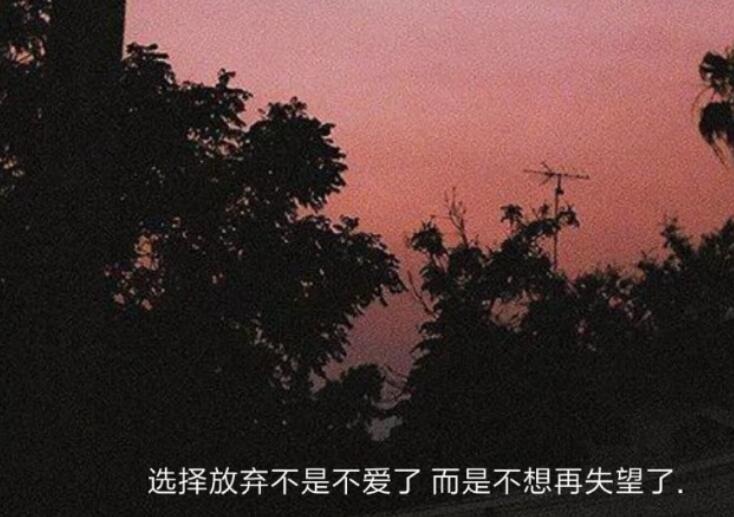 愧疚对不起一个人的说说文案