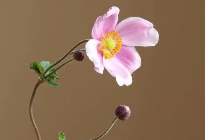 9个字的唯美句子文案