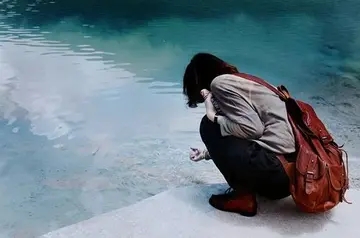 今天收获不错的说说文案