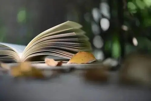 思想上高度重视的诗句文案