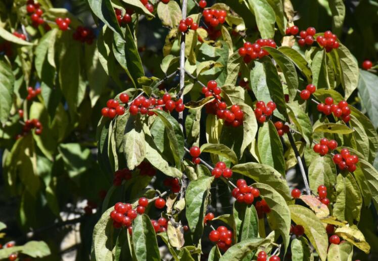 适合发朋友圈最美短文