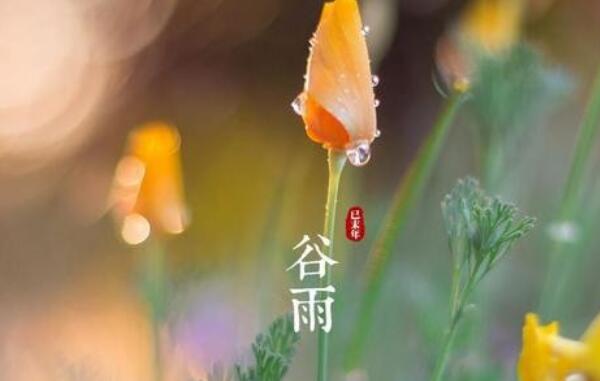 描写二十四节气的诗词