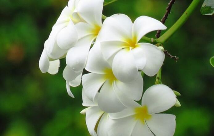 描写心情高兴的一段话