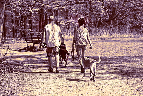 暗示结束感情的诗句文案