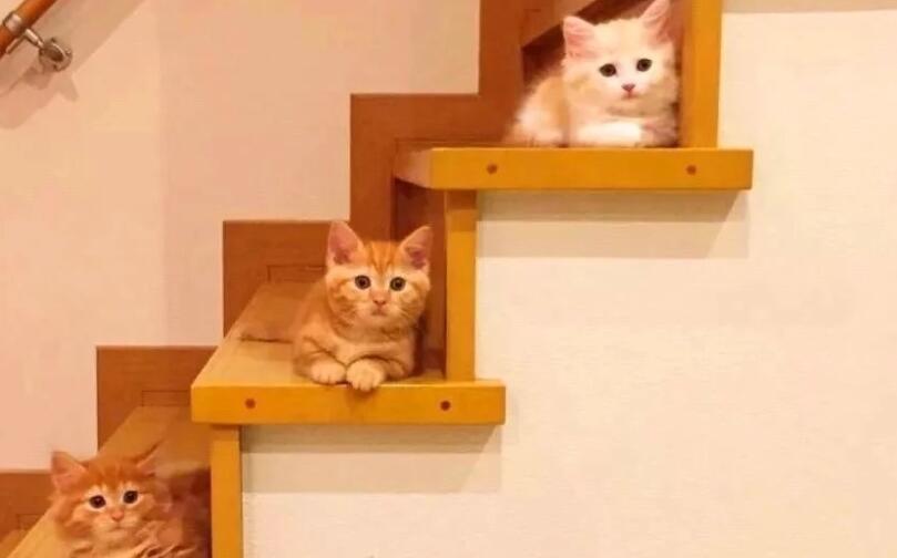 日常文案朋友圈