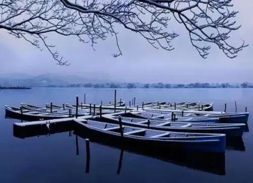 美到窒息的古典诗句文案