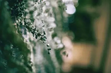 身体难受的句子文案说说心情