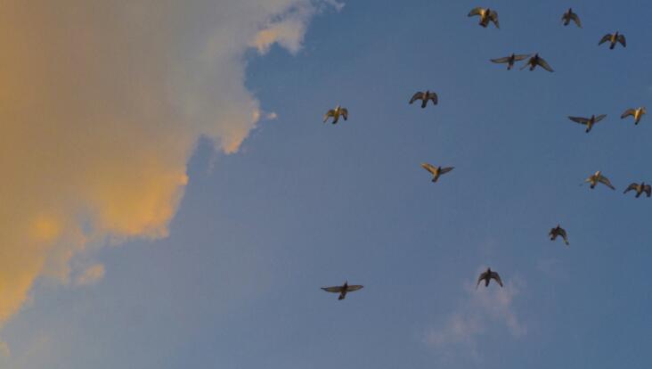 从认识到分手的句子文案