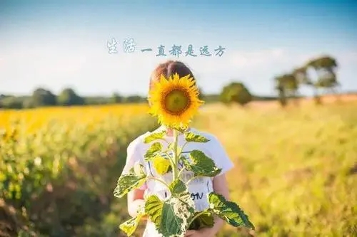 早安阳光轻松语句文案