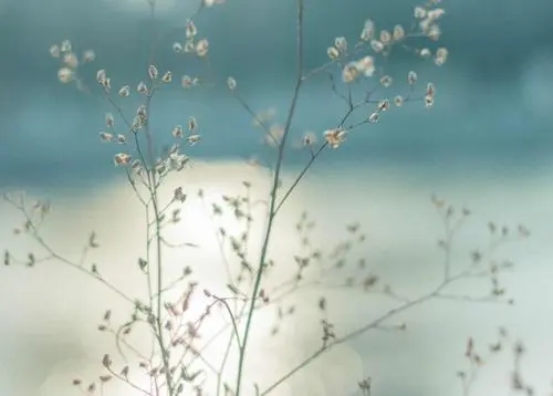 女生幼稚变成熟的句子文案