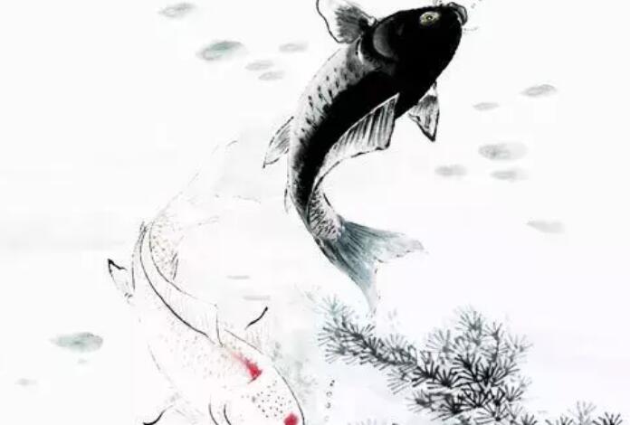 关于鱼的经典诗句文案