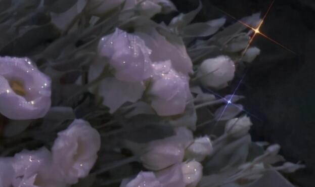 励志签名简短的努力拼搏的