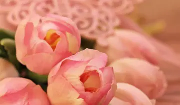 表达感谢的句子文案简短说说心情