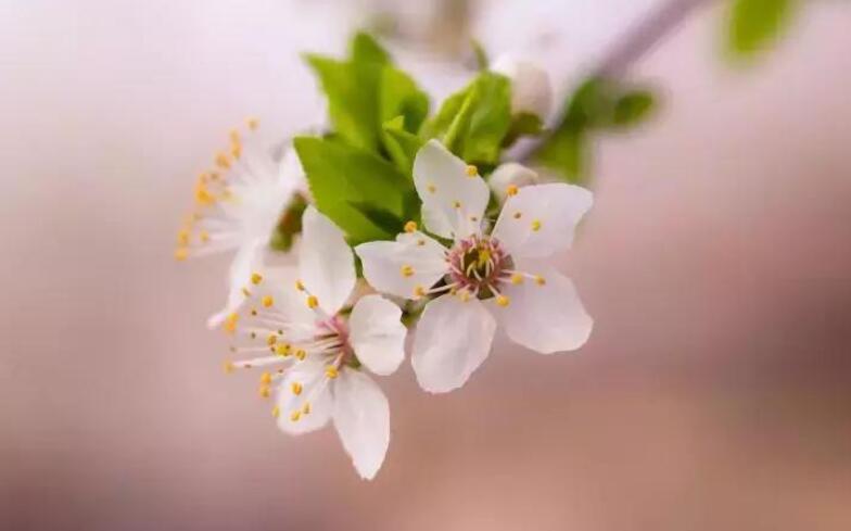 形容人情世故寒人心的诗句文案