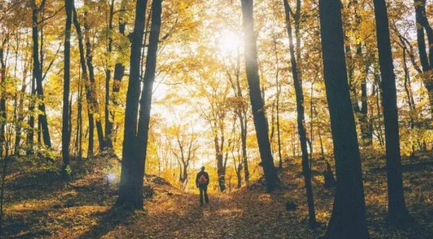 不要对一个人太好语录文案