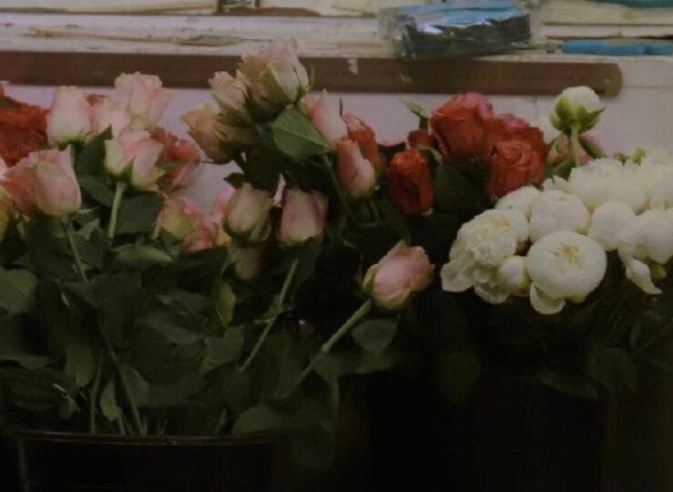 描写花的句子文案摘抄