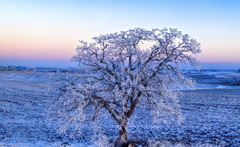 得了第一名祝贺的诗句文案