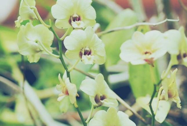 读书笔记好词好句文案好段内容